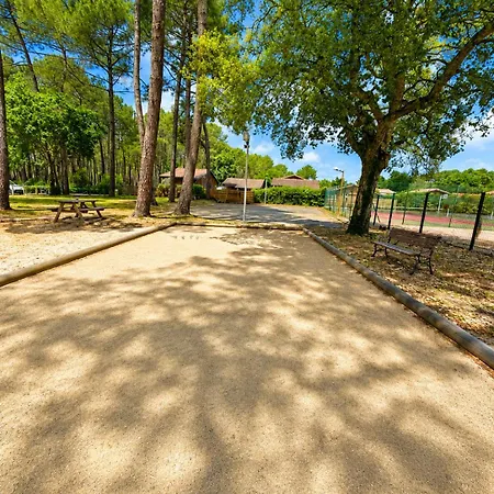 Cosy Bassin D Arcachon * Gujan-Mestras